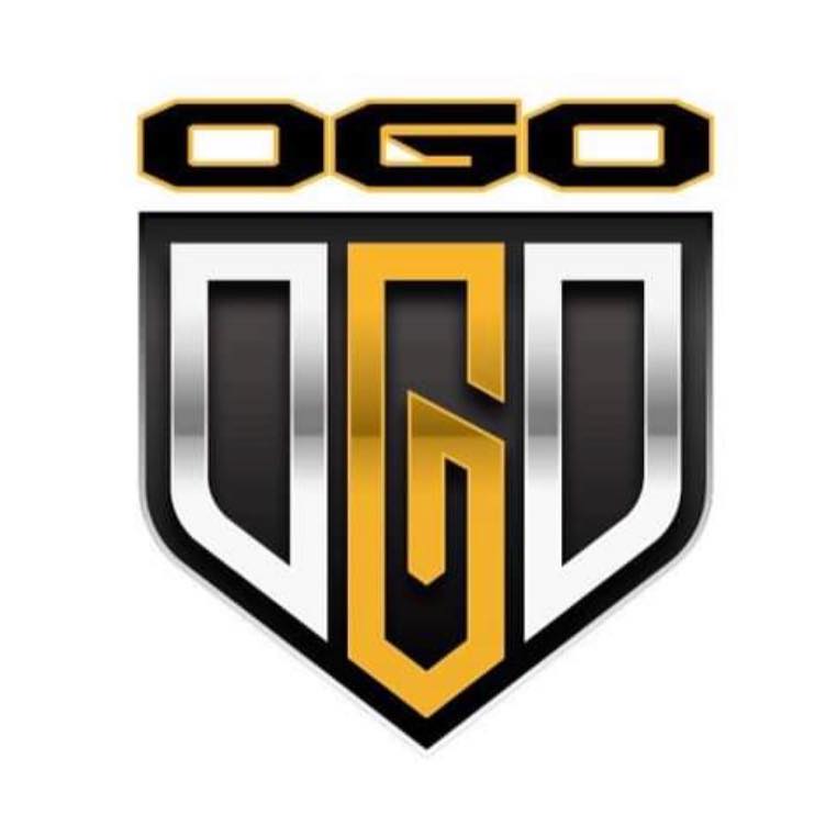 OGO-INS OGO 1/8th Buggy Inserts 4pcs V2